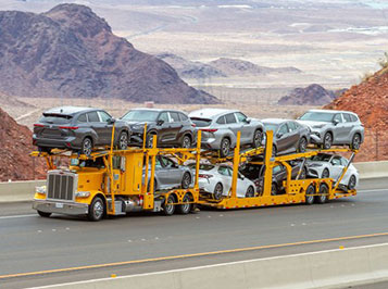 Domestic-Vehicle-Transport